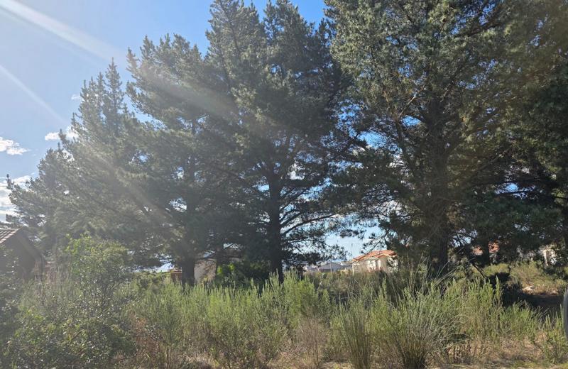 0 Bedroom Property for Sale in Albertinia Western Cape